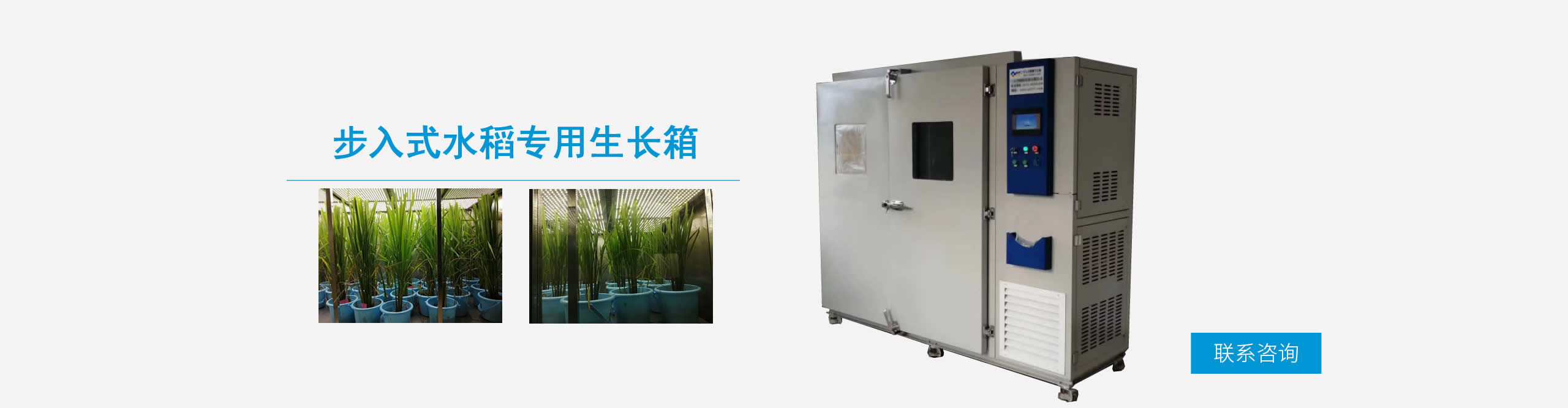 步入式水稻專(zhuān)用生長(zhǎng)箱